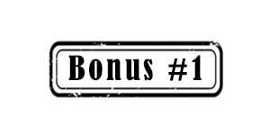 Bonus-#1